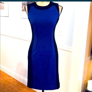 Gorgeous flattering Calvin Klein blk & bl S2 dress